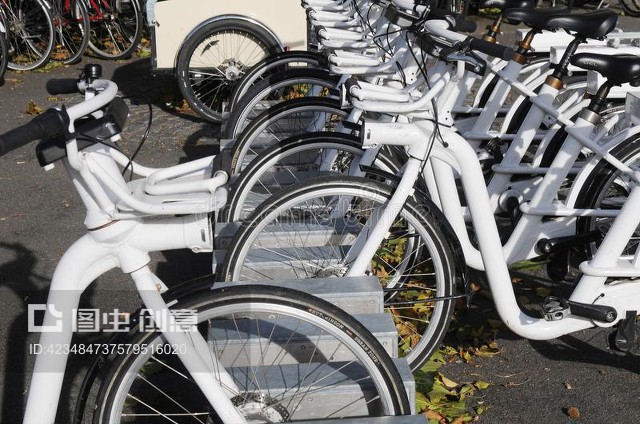 电动自行车出租ELECRIC BIKES FOR RENT