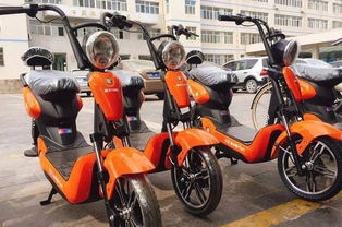 共享电动车 百科