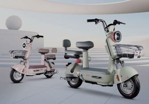 3款全新电动自行车上市,全国可以上牌,潮流时尚,适合上班代步