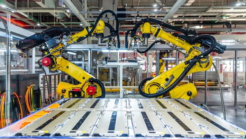 电动自行车在长三角 绿色出行的新潮流与挑战